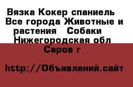 Вязка Кокер спаниель - Все города Животные и растения » Собаки   . Нижегородская обл.,Саров г.